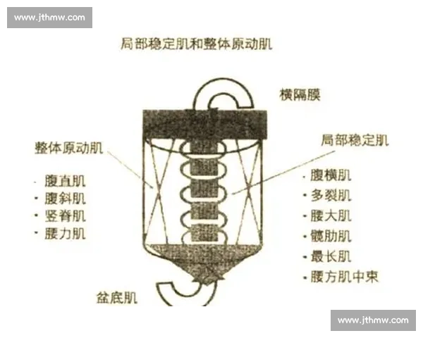 体育科学工具在运动表现提升与伤病预防中的应用研究