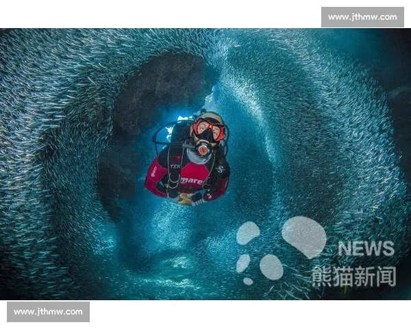 隐秘镜头下的世界：探索保密摄影比赛中的瞬间与故事